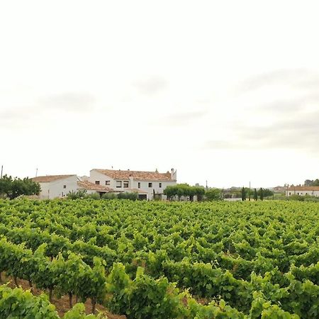 Soul Farm Mas Els Igols Βίλα Torrellas de Foix Εξωτερικό φωτογραφία