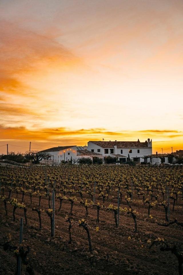 Soul Farm Mas Els Igols Βίλα Torrellas de Foix Εξωτερικό φωτογραφία