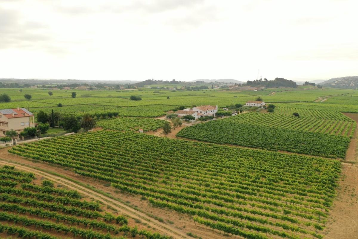 Soul Farm Mas Els Igols Βίλα Torrellas de Foix Εξωτερικό φωτογραφία